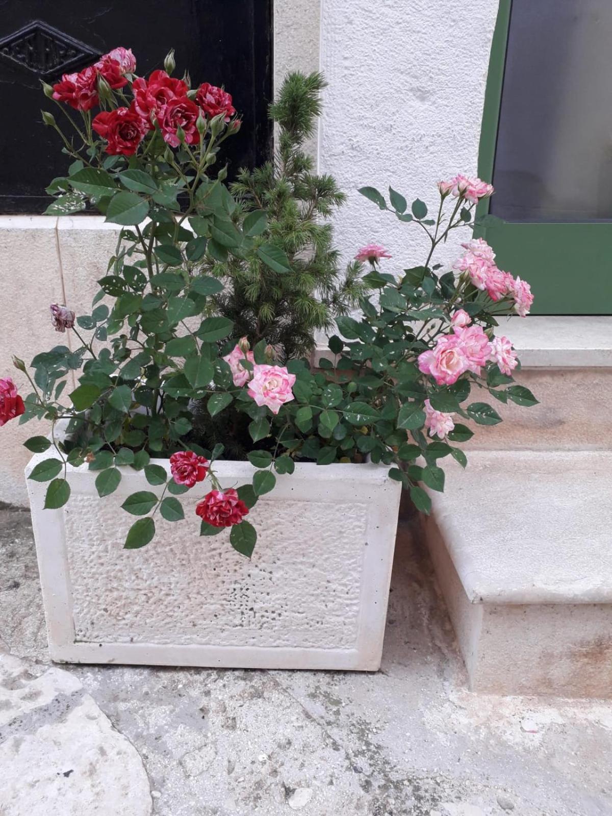 Villa Le Chianche Ceglie Messapica Exterior foto